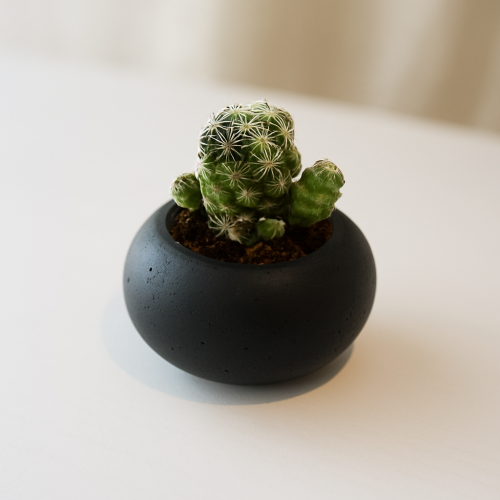 BANANA BLACK Pot（ミニプランター／器）