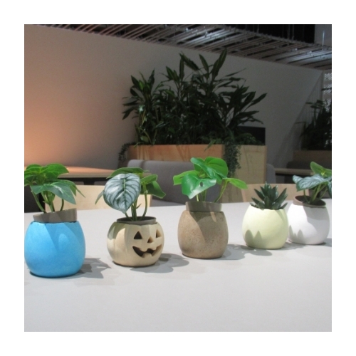 azbil社内食堂の卵殻をアップサイクルした卵型ミニプランター