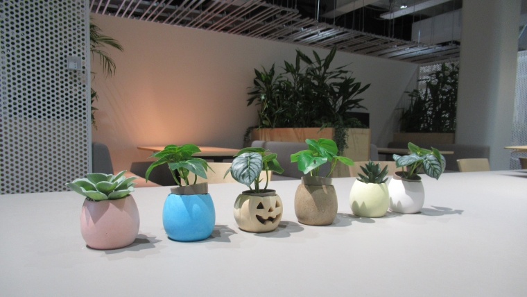 azbil社内食堂の卵殻をアップサイクルした卵型ミニプランター