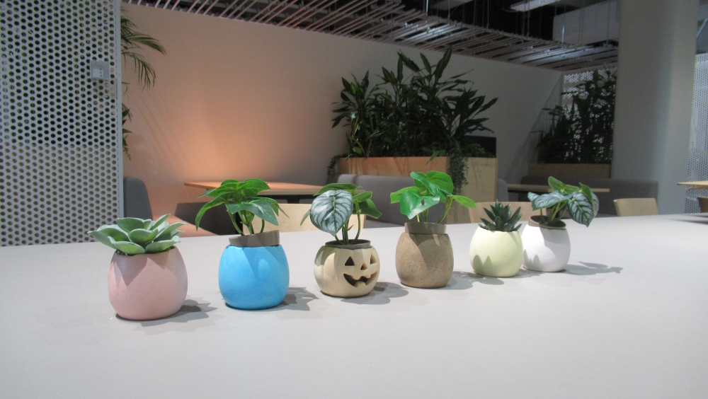 azbil社内食堂の卵殻をアップサイクルした卵型ミニプランター